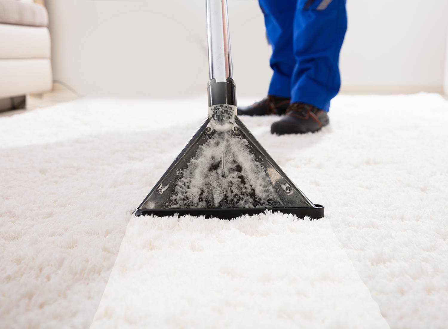 deep cleaning a carpet